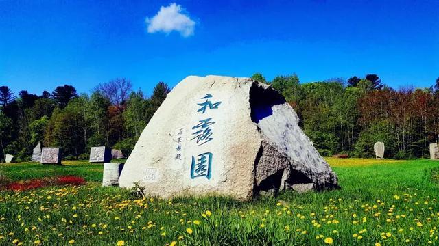 新劳动法辞职规定游戏画面