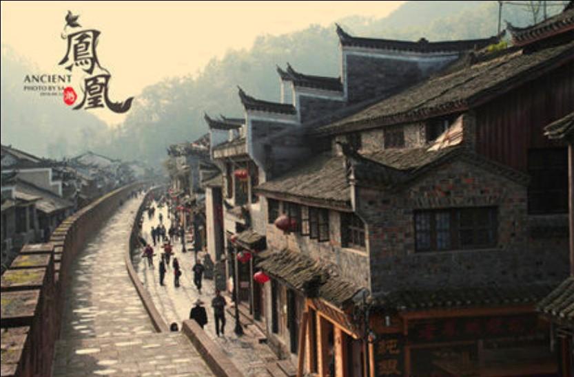 萌犬找不同